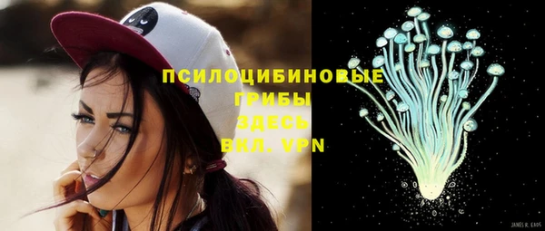 трава Дмитриев