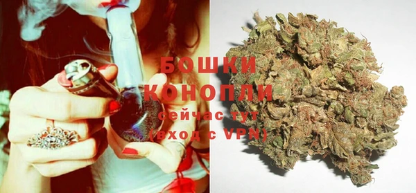 твердый Дмитров