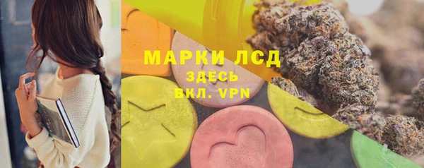 твердый Дмитров