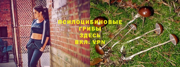 скорость mdpv Дмитровск