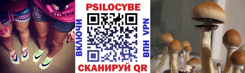 хочу   Удомля  Галлюциногенные грибы MAGIC MUSHROOMS 
