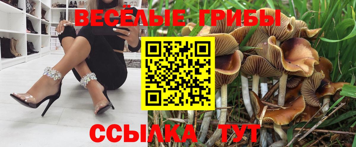 Галлюциногенные грибы мухоморы Удомля