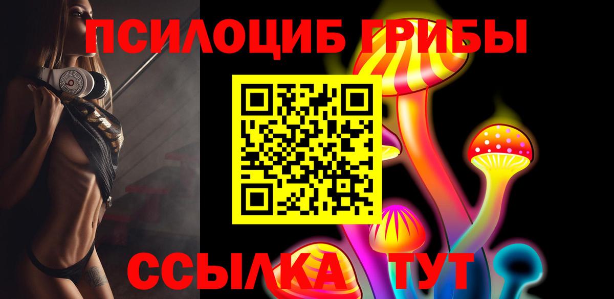 Удомля  Псилоцибиновые грибы Psilocybe  Вход с VPN 